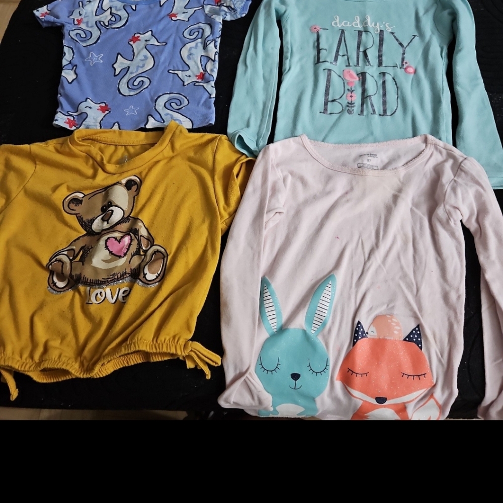 Girl clothing sizes 4 and 5
